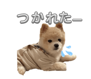 841429030