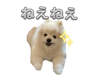 841429031