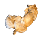 841429289