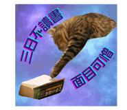 841429481