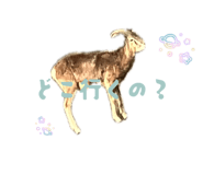 841429535