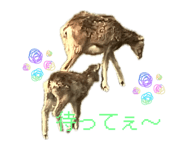 841429536