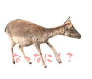841429537