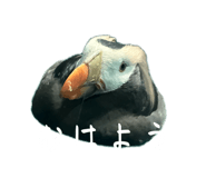 841429540
