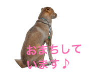 841429903