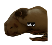 841430580