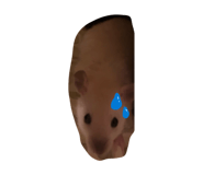841430581