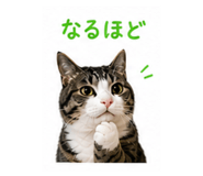 841430667