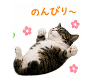 841430684