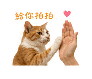 841431687