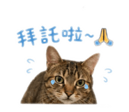 841432030