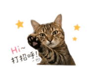 841432032