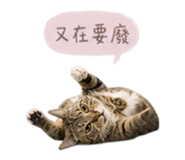 841432038