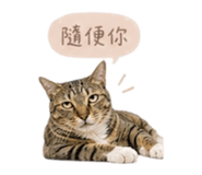841432039