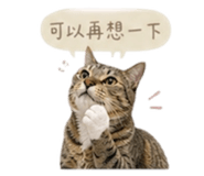 841432047