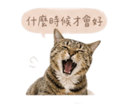 841432054