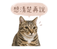 841432055