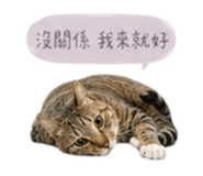 841432058