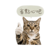 841432059