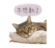 841432060