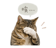 841432061
