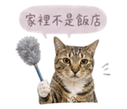 841432065