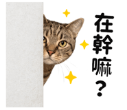 841432250