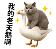 841432261