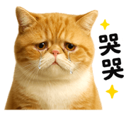 841432266