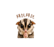841432325