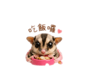 841432335