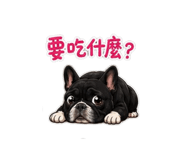 841433092