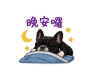 841433106