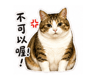 841433261