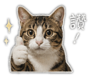 841433440