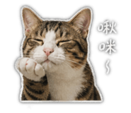 841433445
