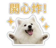 841433737