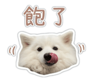 841433739