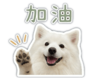 841433754