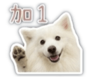 841433755