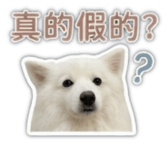 841433765