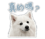 841433769