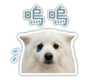 841433771