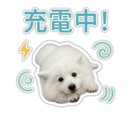 841433776