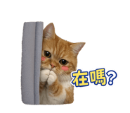 841433898