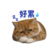 841433901
