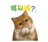 841433905