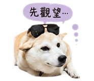841434199