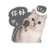 841434305