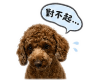 841435734